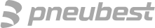 Pneubest - Blog